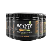  RE-LYTE ELECTROLYTE MIX